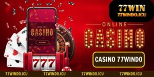 casino 77windo