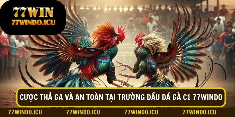 Cược thả ga và an toàn tại trường đá gà C1