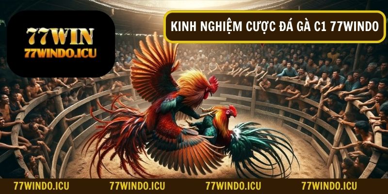 Kinh nghiệm cược giúp tăng cơ hội chiến thắng tại đá gà C1